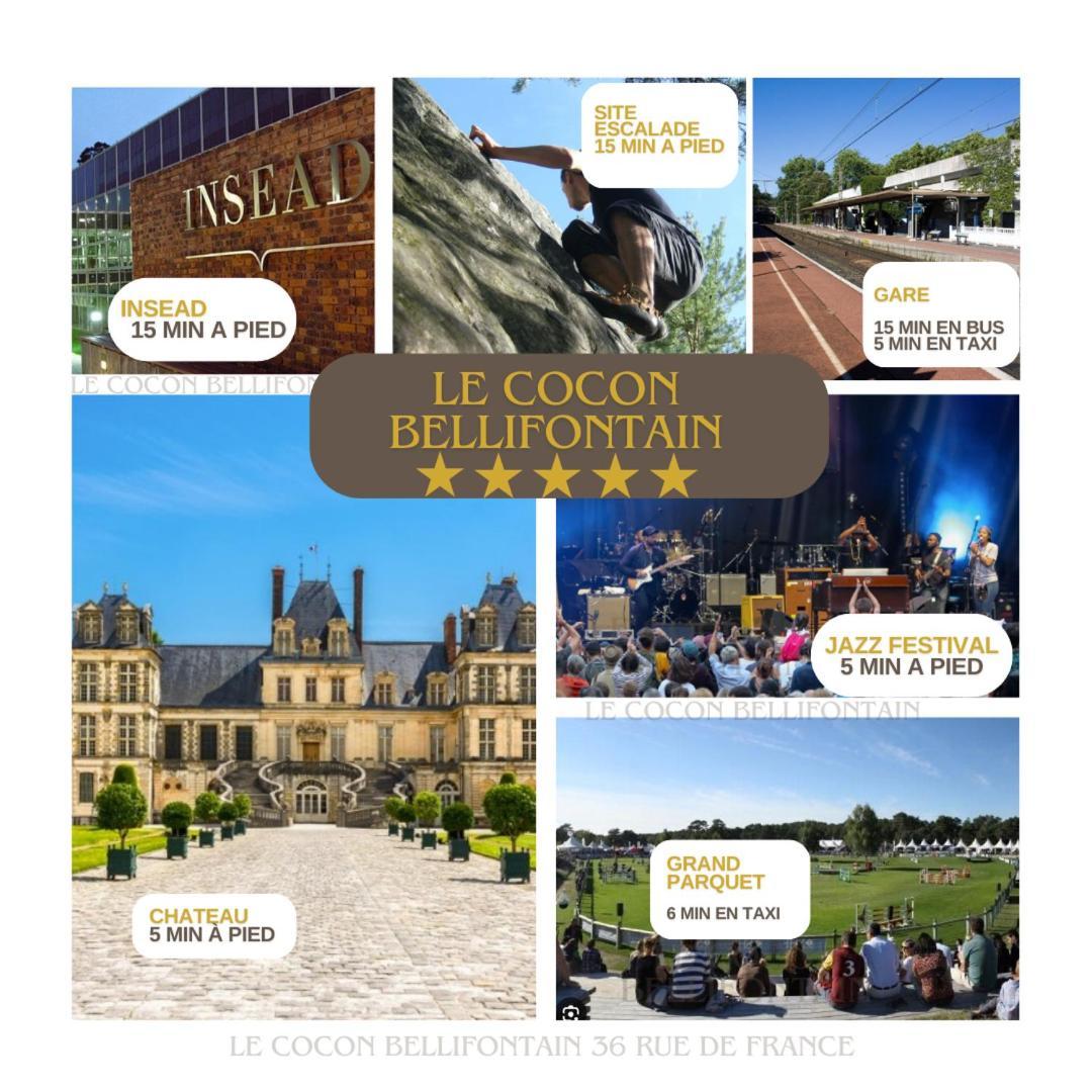 Le Cocon De Fontainebleau - Centre-Ville, Proche Insead & Chateau Екстер'єр фото
