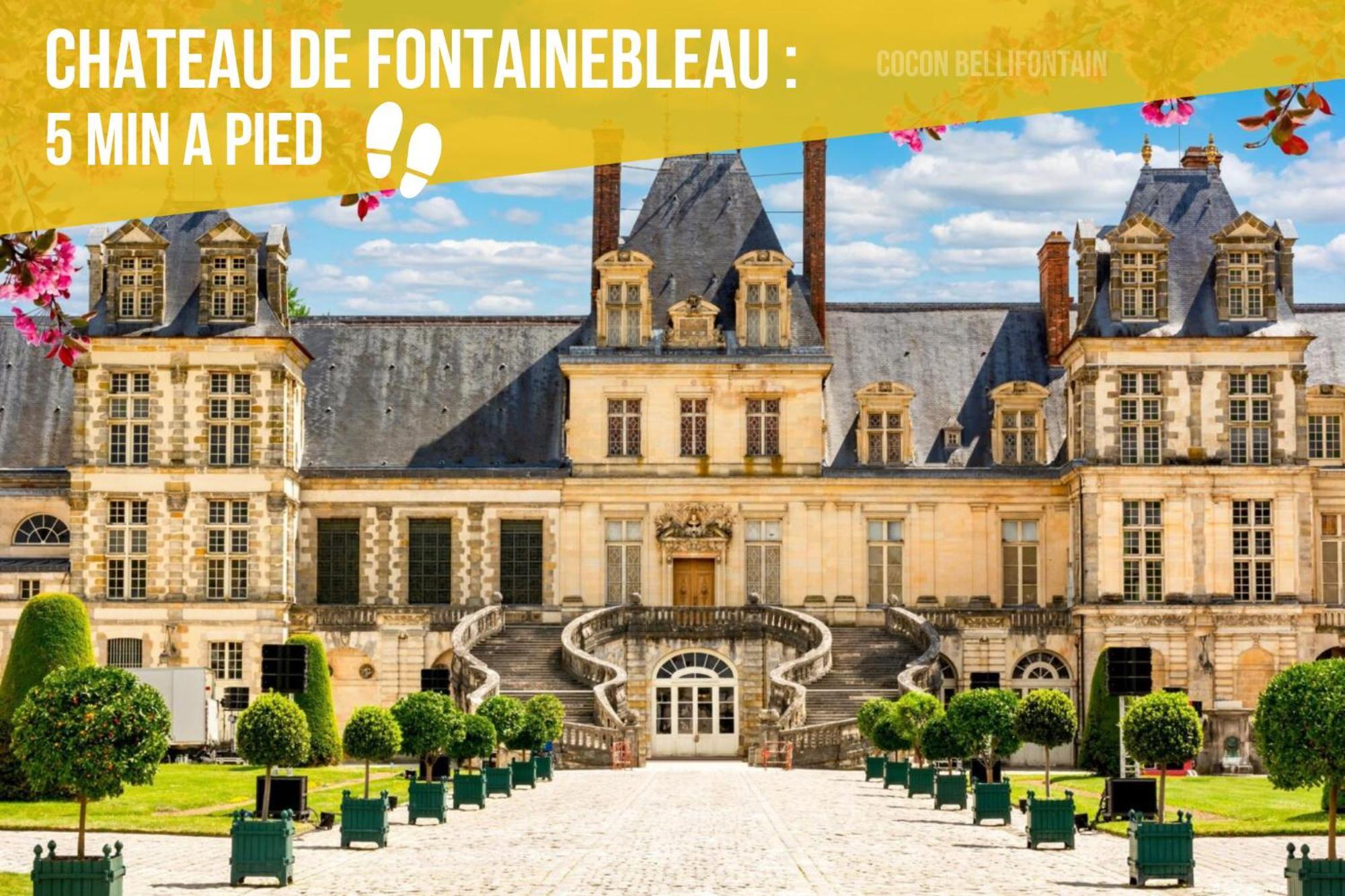 Le Cocon De Fontainebleau - Centre-Ville, Proche Insead & Chateau Екстер'єр фото